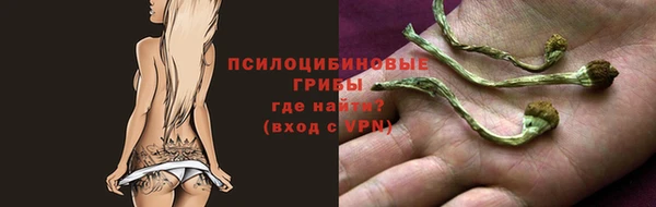 мет Арсеньев