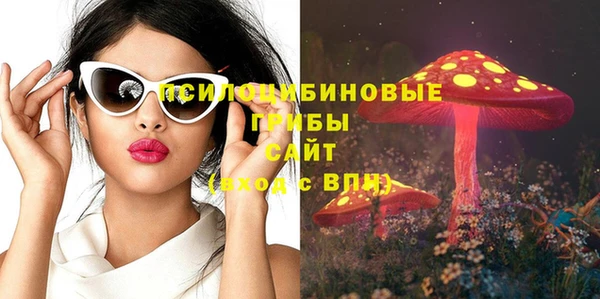 винт Армянск