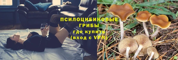 мет Арсеньев